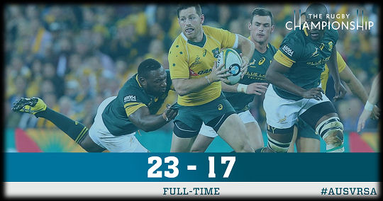 Wallabies v Springboks